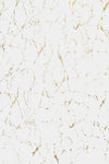 KNE-Rabbit White/Gold