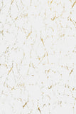 KNE-Rabbit White/Gold