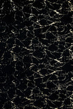 Rabbit Black/Gold