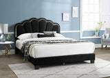 KNE-B9132 Gul (Grey) (BLACK) (CREAM)