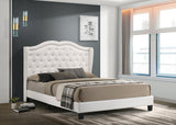 KH-Paradise2 White
