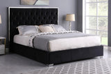 KNE-B600 Rose (Black) 55"H