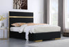 KNE-B810 Cartier (Black)