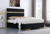 KNE-B810 Cartier (Black)