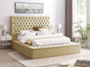 KNE-B8011 Catalina (Dark Beige)