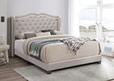 KNE-B9332 Elena (Champagne)