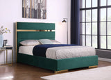 KH-B810 Cartier (Green)