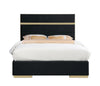 KNE-B810 Cartier (Black)