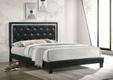HH900 - Black